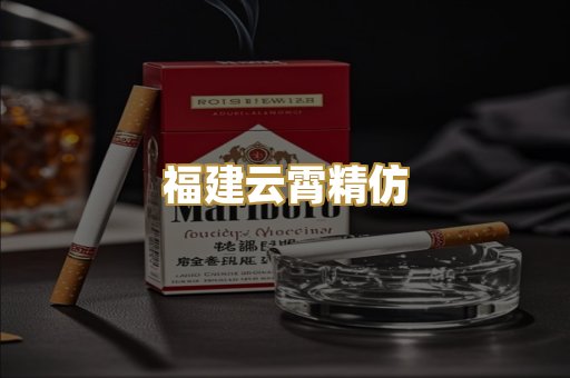 福建云霄精仿